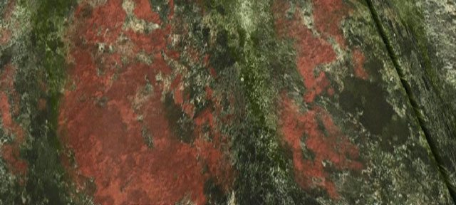 Rensning af tag – Hvilke tage kan renses