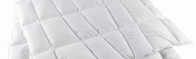 Valg af dyne – Gåsedunsdyne eller andedunsdyne