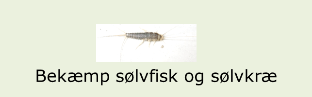 Solvfisk_(topbanner)